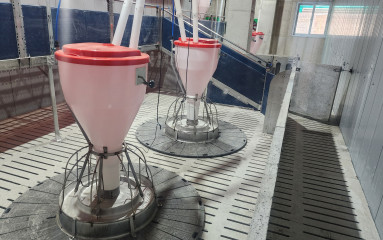 상철농장_202505291_44