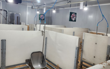 상철농장_202505291_30