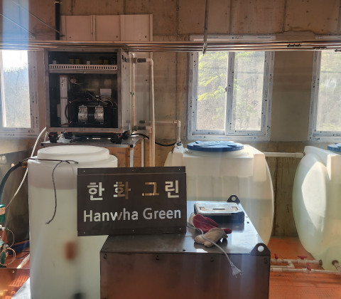 안개분무 사진_20250529-3
